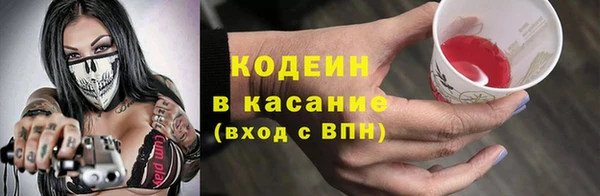 гашик Арсеньев