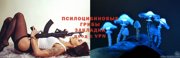 гашик Арсеньев